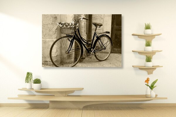 Tablou bicicletă rustică în design sepia