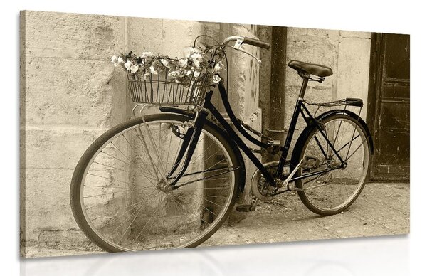 Tablou bicicletă rustică în design sepia