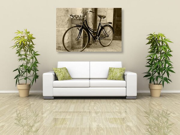 Tablou bicicletă rustică în design sepia