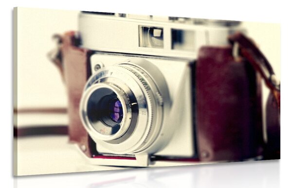 Tablou cameră retro elegantă