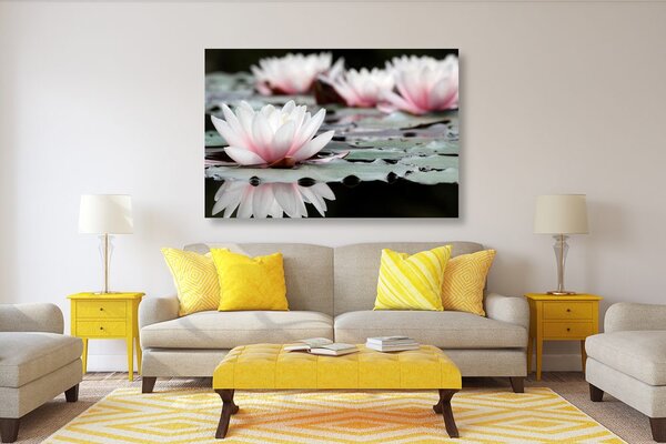 Tablou floare de lotus
