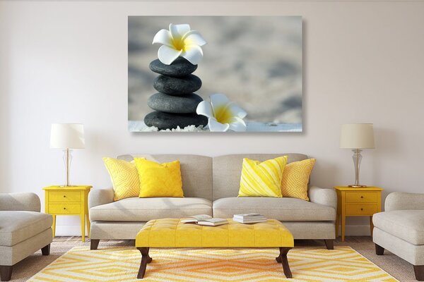 Tablou pietre armonice și floare plumeria