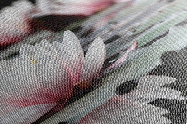Tablou floare de lotus