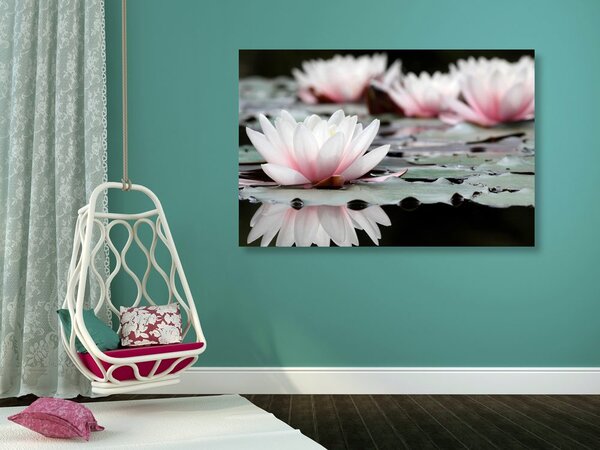 Tablou floare de lotus