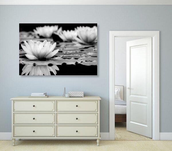 Tablou floare de lotus în design alb-negru