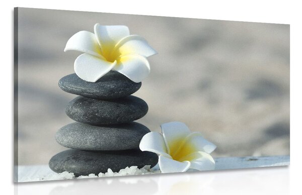 Tablou pietre armonice și floare plumeria