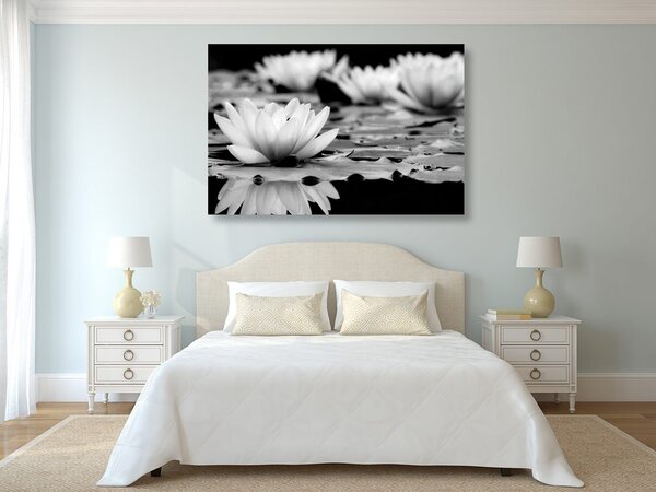 Tablou floare de lotus în design alb-negru
