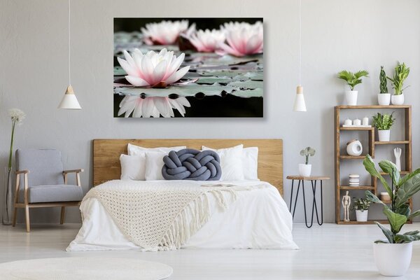 Tablou floare de lotus