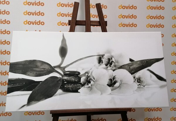 Tablou natura moartă cu pietre Zen în design alb-negru