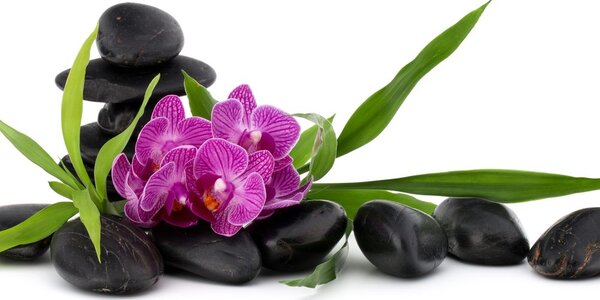 Tablou orhidee violetă în natura moartă Zen
