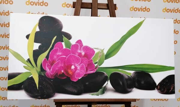 Tablou orhidee violetă în natura moartă Zen