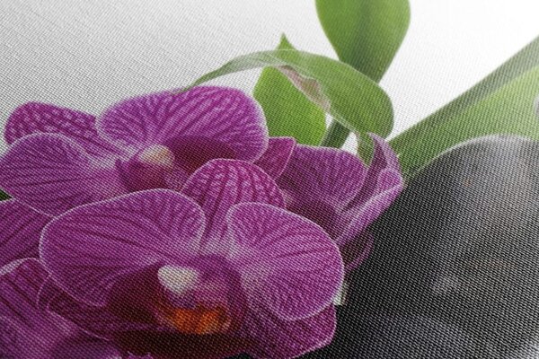 Tablou orhidee violetă în natura moartă Zen