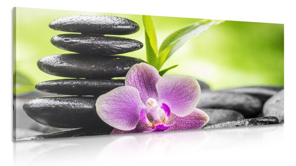Tablou compoziție Zen tropicală