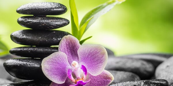 Tablou compoziție Zen tropicală