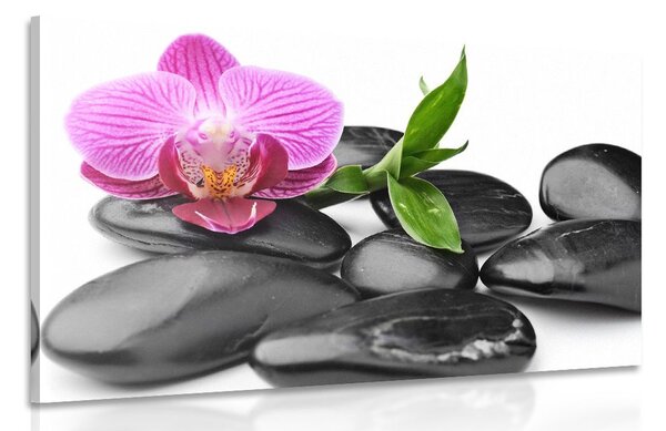 Tablou pietre wellness de masaj