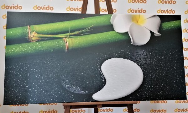 Tablou Spa natura moartă cu simbolul Yin și Yang