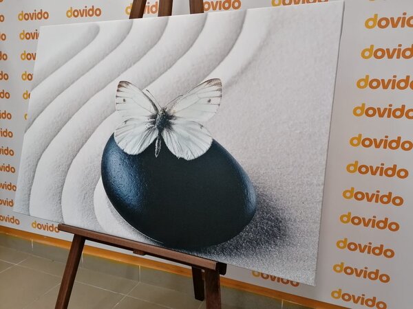 Tablou fluture alb pe piatră neagră