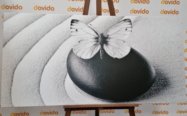 Tablou Zen piatră cu fluture în design alb-negru