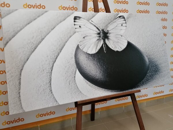 Tablou Zen piatră cu fluture în design alb-negru