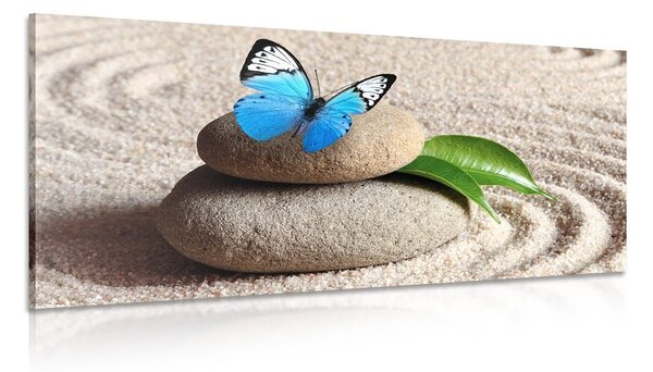 Tablou fluture albastru pe piatră Zen