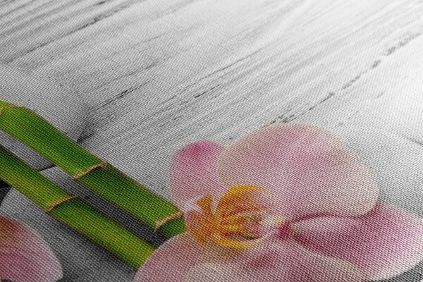 Tablou compoziția delicată Zen