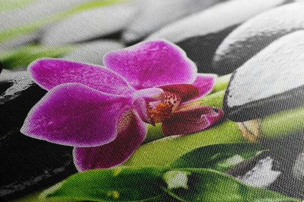 Tablou natura moartă Spa cu orhidee violetă