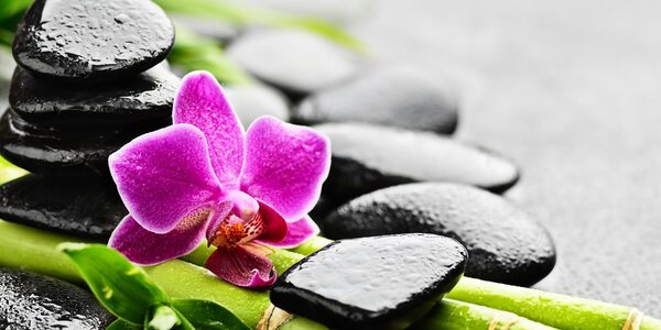 Tablou natura moartă wellness cu orhidee violetă