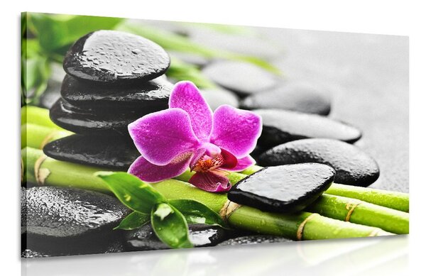 Tablou natura moartă Spa cu orhidee violetă