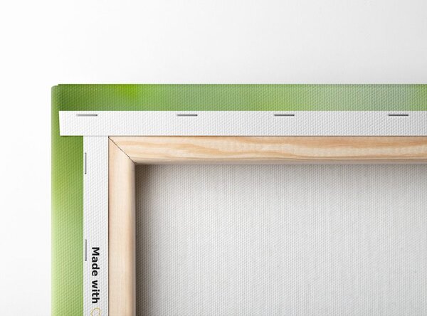 Tablou natura moartă Feng Shui