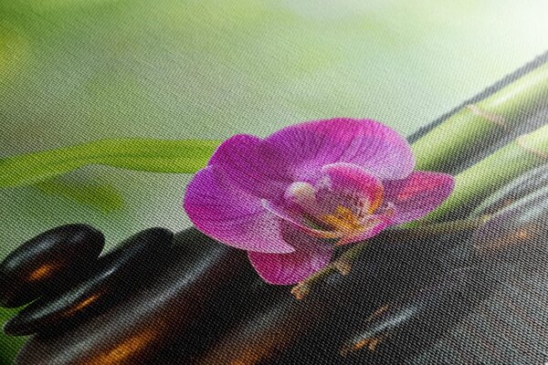 Tablou natura moartă Feng Shui