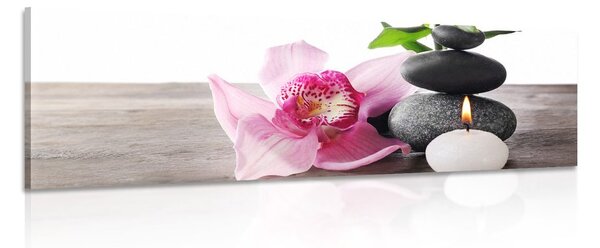 Tablou natura moartă armonică
