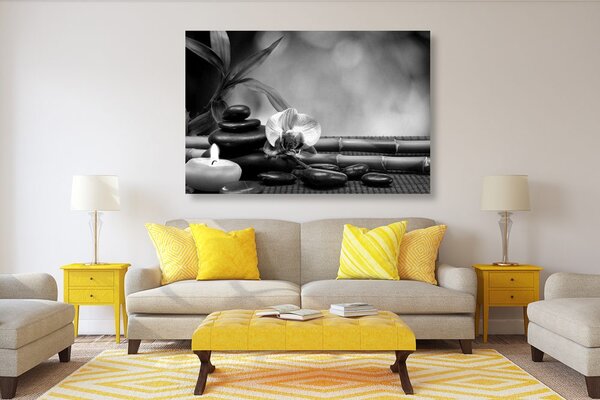 Tablou Feng Shui armonie în design alb-negru