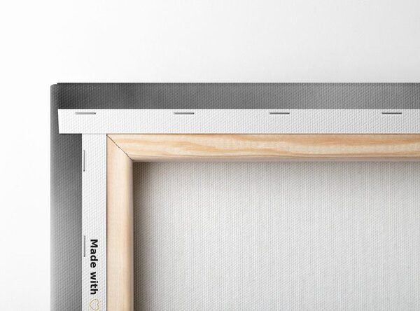 Tablou natura moartă Feng Shui în design alb-negru