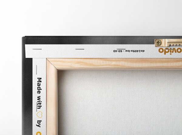 Tablou Feng Shui armonie în design alb-negru