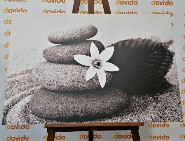 Tablou floare și pietre în nisip în design alb-negru