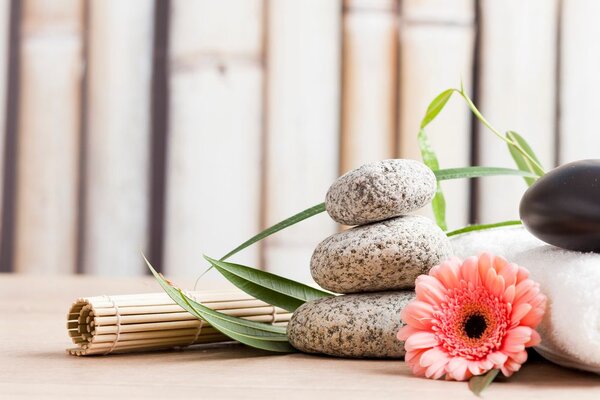 Tablou natura moartă meditativă wellness
