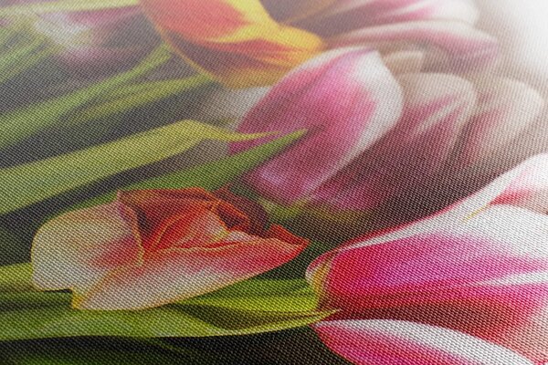 Tablou buchet de lalele colorate