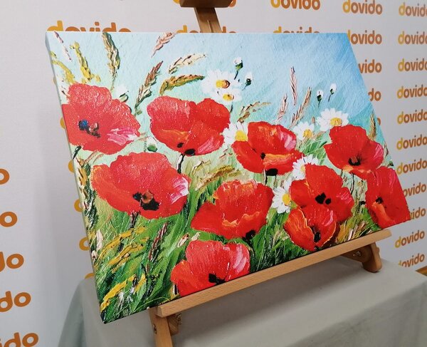 Tablou maci pe câmp pictate