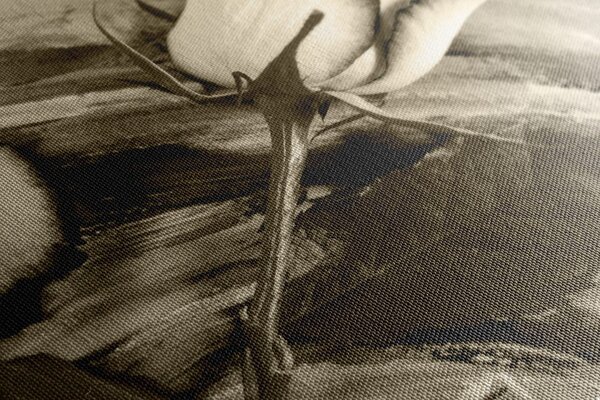 Tablou trandafir în design sepia