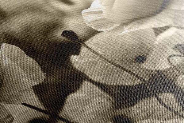 Tablou câmp de maci sălbatici în design sepia