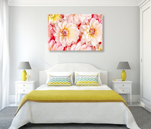 Tablou flori delicate de dalia
