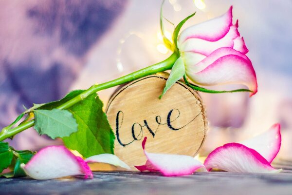 Tablou mărturisire romantică Love