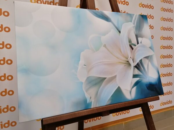 Tablou floare albă de crin pe fundalul abstract