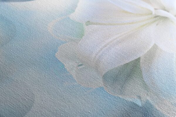 Tablou floare albă de crin pe fundalul abstract