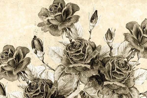 Tablou buchetul de trandafiri vintage în design sepia