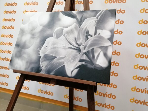 Tablou flori de crin pe fundalul abstract în design alb-negru