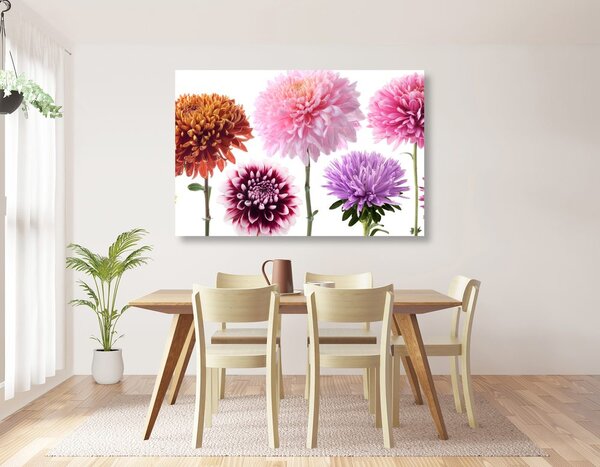 Tablou flori de dalia într-un design multicolor