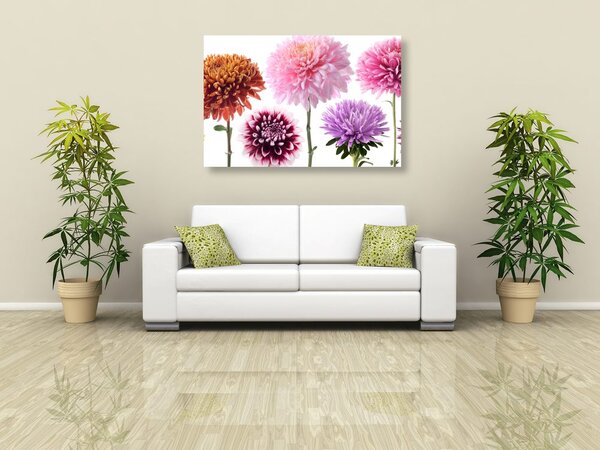 Tablou flori de dalia într-un design multicolor