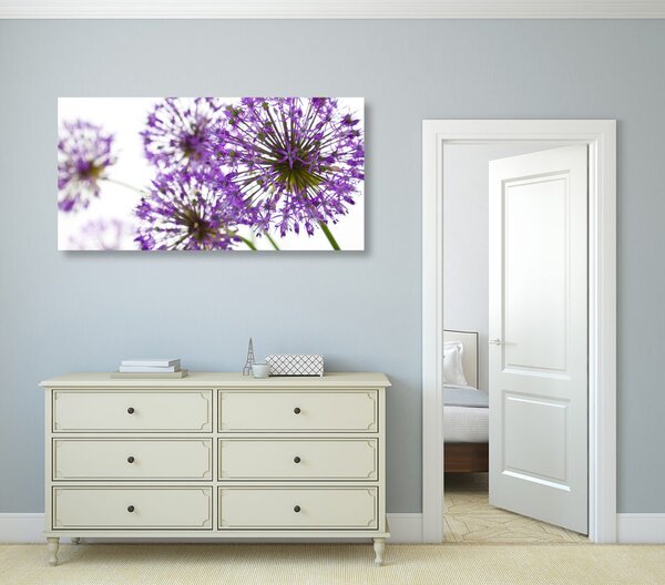 Tablou flori violete flori de usturoi