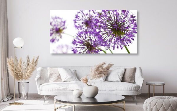 Tablou flori violete flori de usturoi